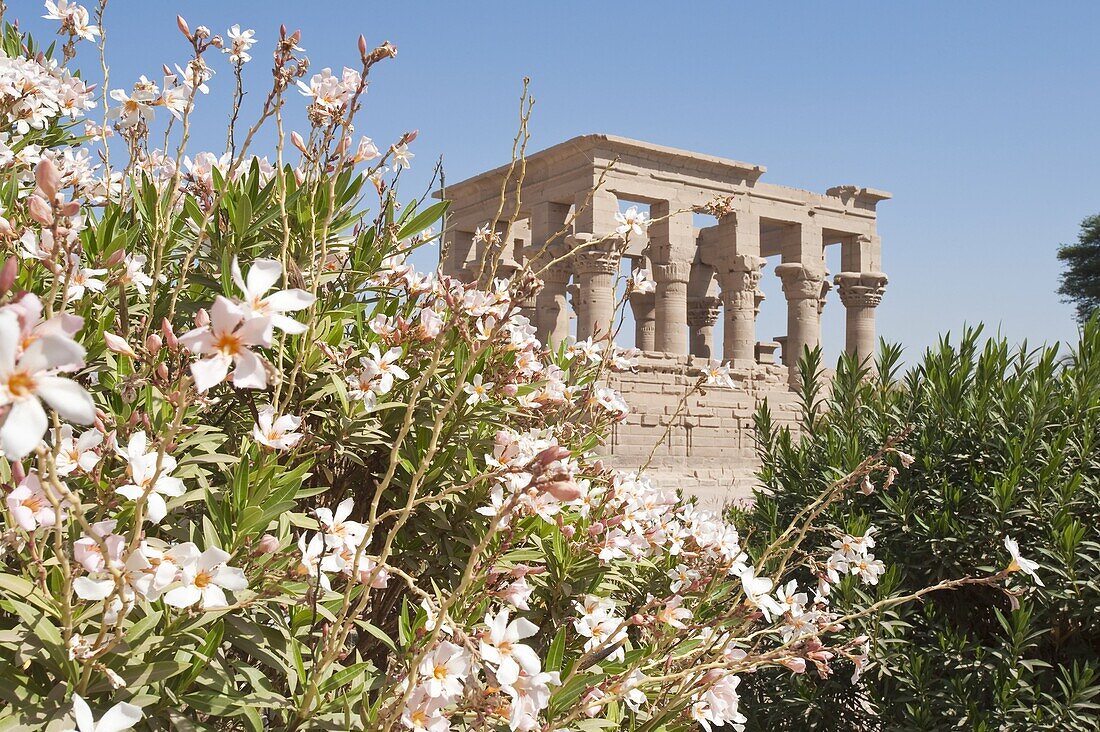 Philae Temple near Aswan, Egypt, North Africa, Africa