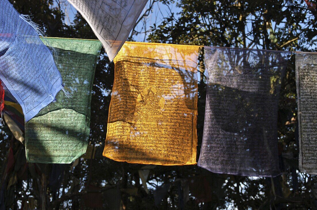 Buddhist prayer flags hanging near the Mahakal Buddhist Monastery, Observatory Hill, Darjeeling, West Bengal, India, Asia