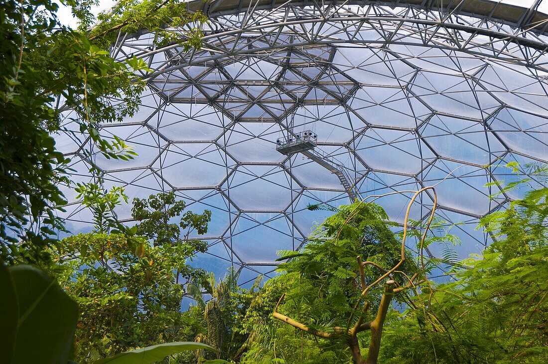 Eden Project near St. Austell, Cornwall, England, United Kingdom, Europe