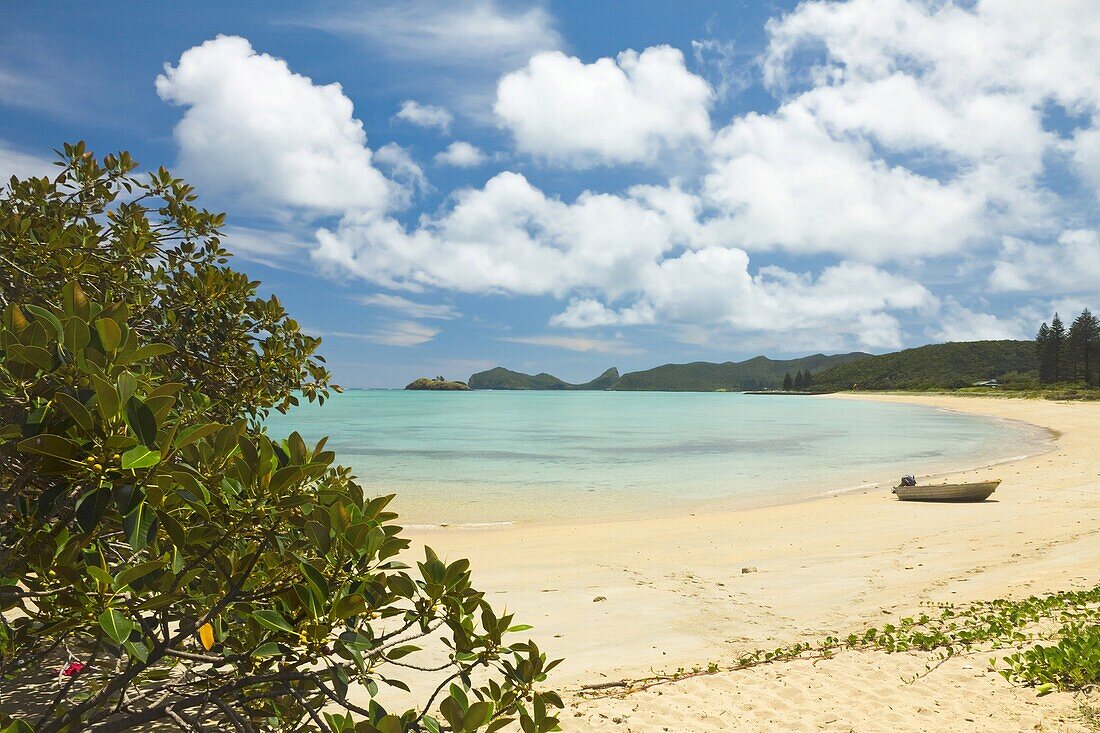 View to the north of the island across the lagoon with the world's most southerly coral reef, on this 10km long ancient  volcanic island in the Tasman Sea, Lord Howe Island, UNESCO World Heritage Site, New South Wales, Australia, Pacific