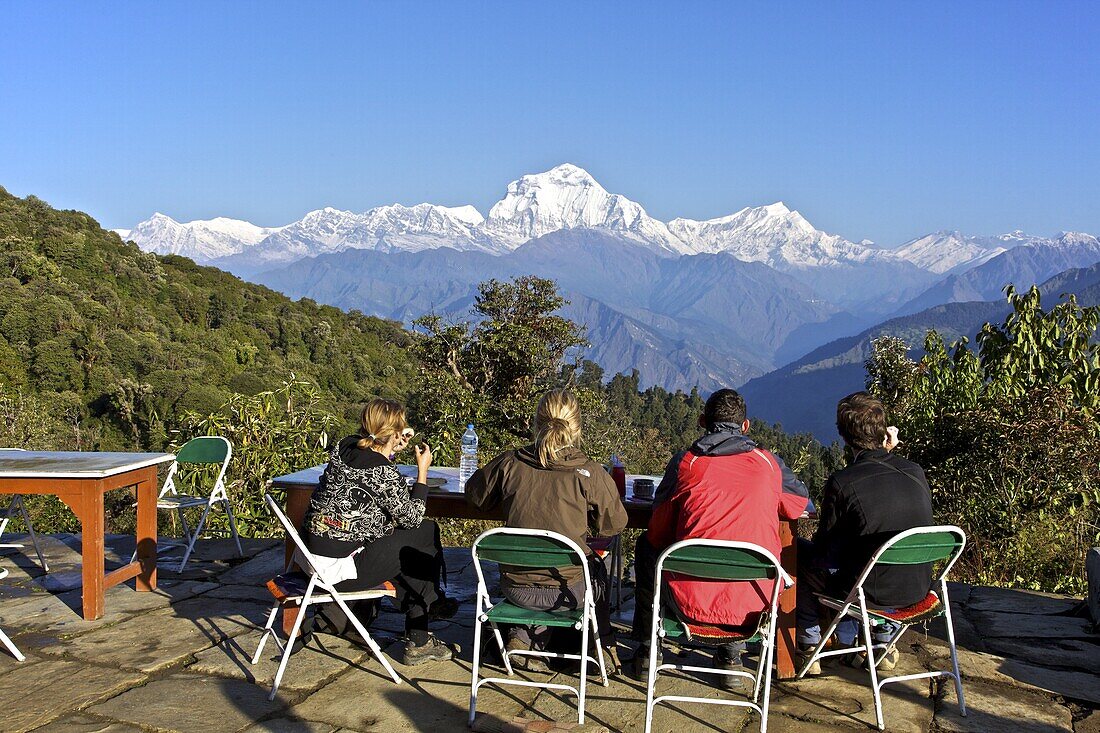 Trekkers enjoying al fresco breakfast in teahouse in  Ghorepani, Annapurna Sanctuary Region, Himalayas, Nepal, Asia