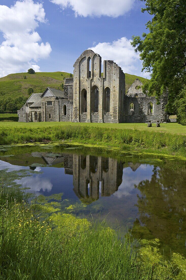 Valle Crucis, ruined Cistercian abbey, in Llantysilio, near Llangollen, Denbighshire, Wales, United Kingdom, Europe