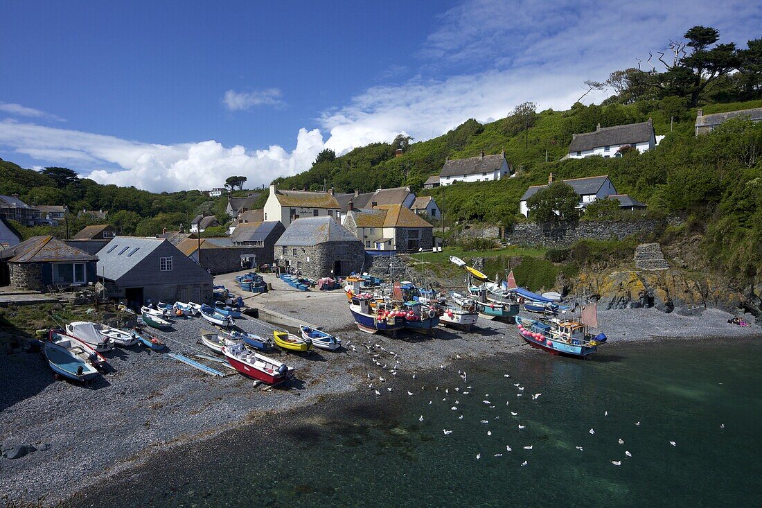 Fishing boats on the beach at Cadgwith, Lizard Peninsula, Cornwall, England, United Kingdom, Europe