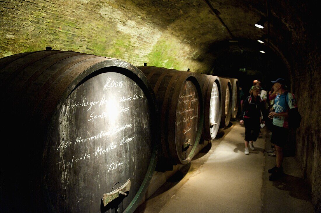 People and wine barrels inside cellar of Loisium Winery, Langelois, Niederosterreich, Austria, Europe