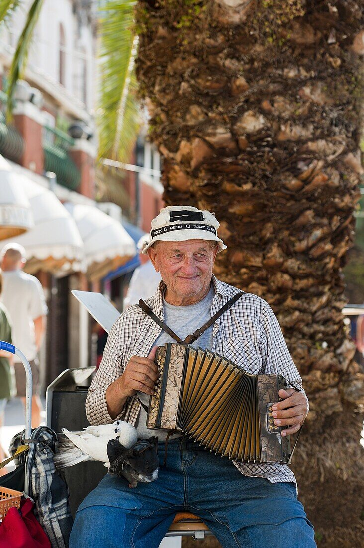 Street musician, Split, region of Dalmatia, Croatia, Europe
