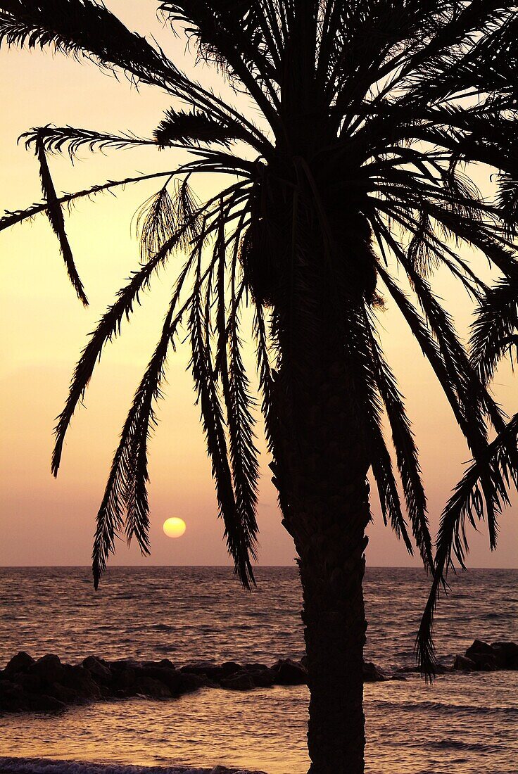 Sunrise near Sidi Slim, Island of Jerba, Tunisia, North Africa, Africa
