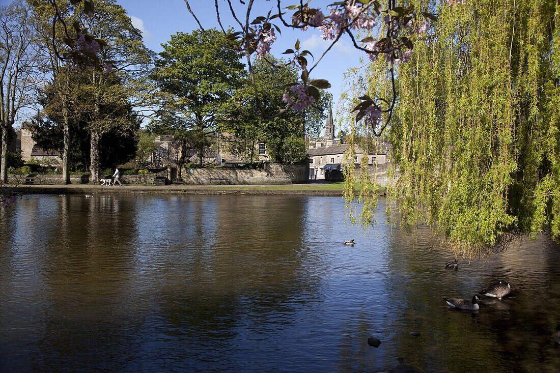 River Wye, Bakewell, Derbyshire, England, United Kingdom, Europe