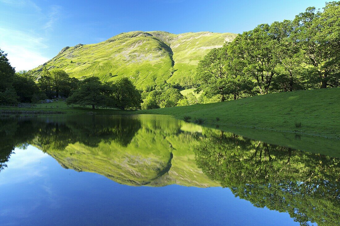 Tarn near Patterdale, Lake District National Park, Cumbria, England, United Kingdom, Europe