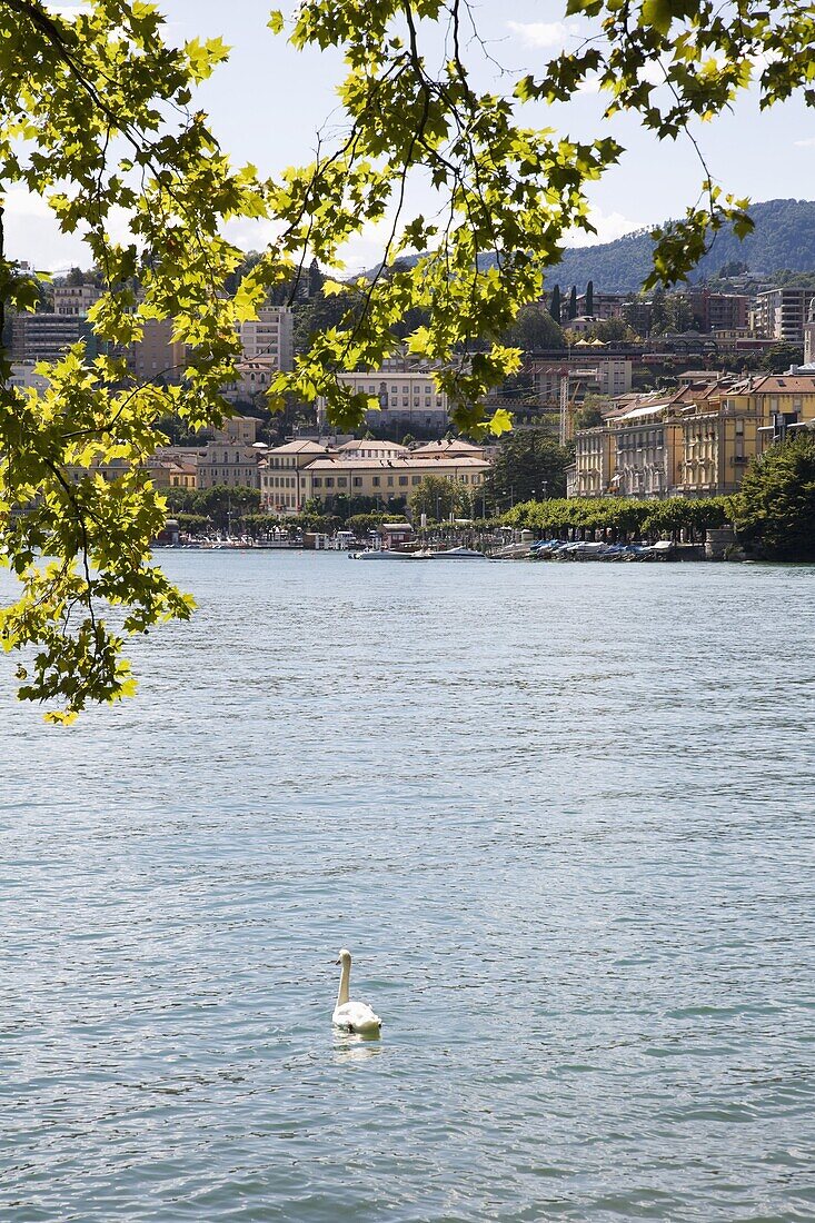 Lugano, Lake Lugano, Tessin (Ticino) Canton, Switzerland, Europe