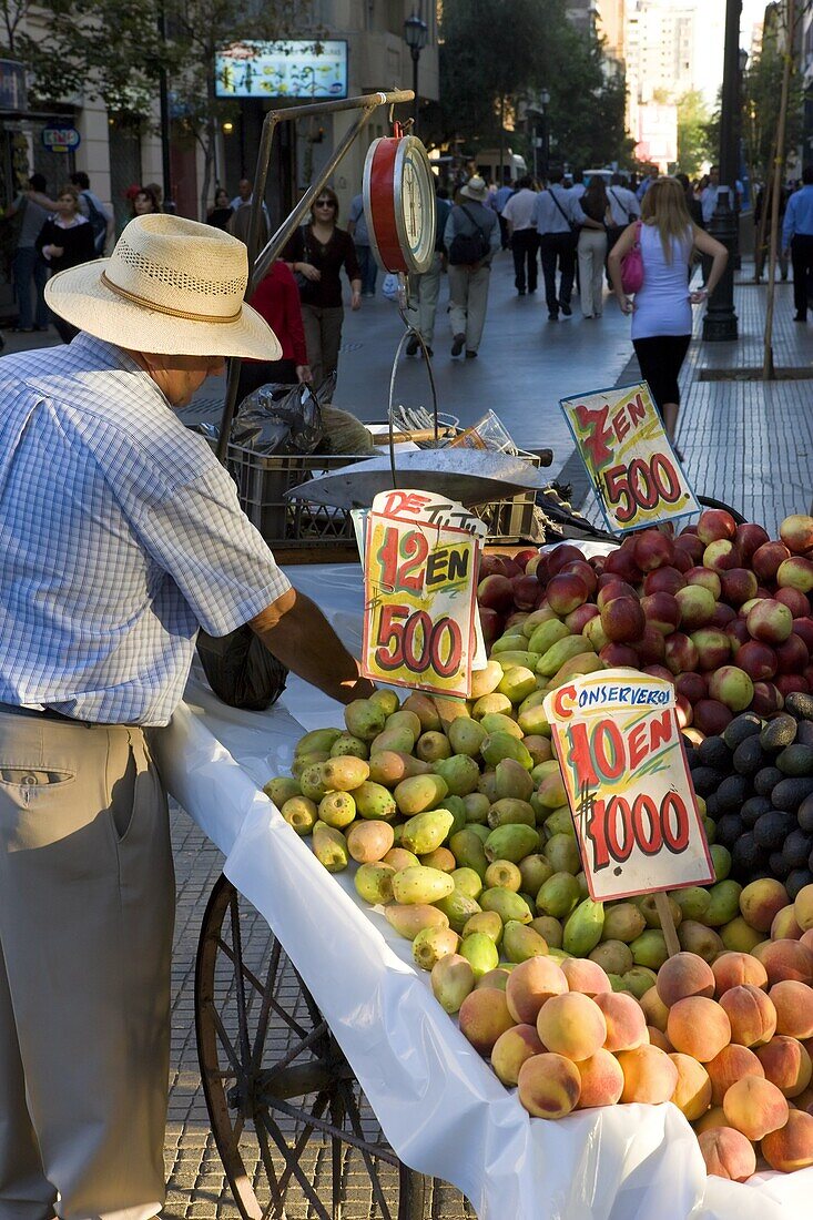 Stall selling fruit in central Santiago on Avenue O'Higgins, Santiago, Chile, South America