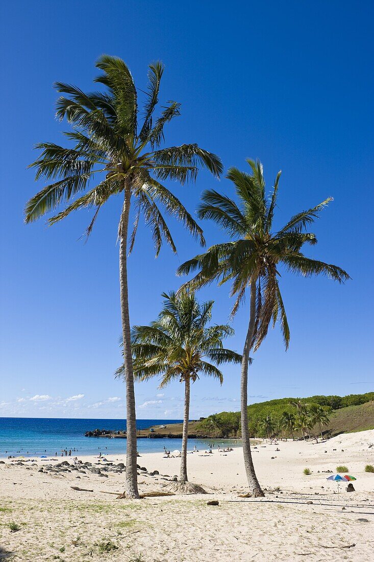 Anakena beach, the Island's white sand beach fringed by palm trees, Rapa Nui (Easter Island), Chile, South America