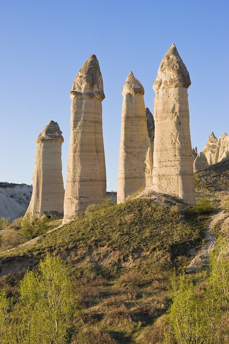 Phallic pillars known as fairy chimneys in the valley known as Love Valley near Goreme in Cappadocia, Anatolia, Turkey, Asia Minor, Eurasia