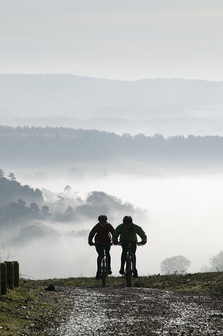 Two mountain bikes climbing up hill, silhouetted against mist, Newlands Corner, near Guildford, Surrey Hills, Surrey, England, United Kingdom, Europe