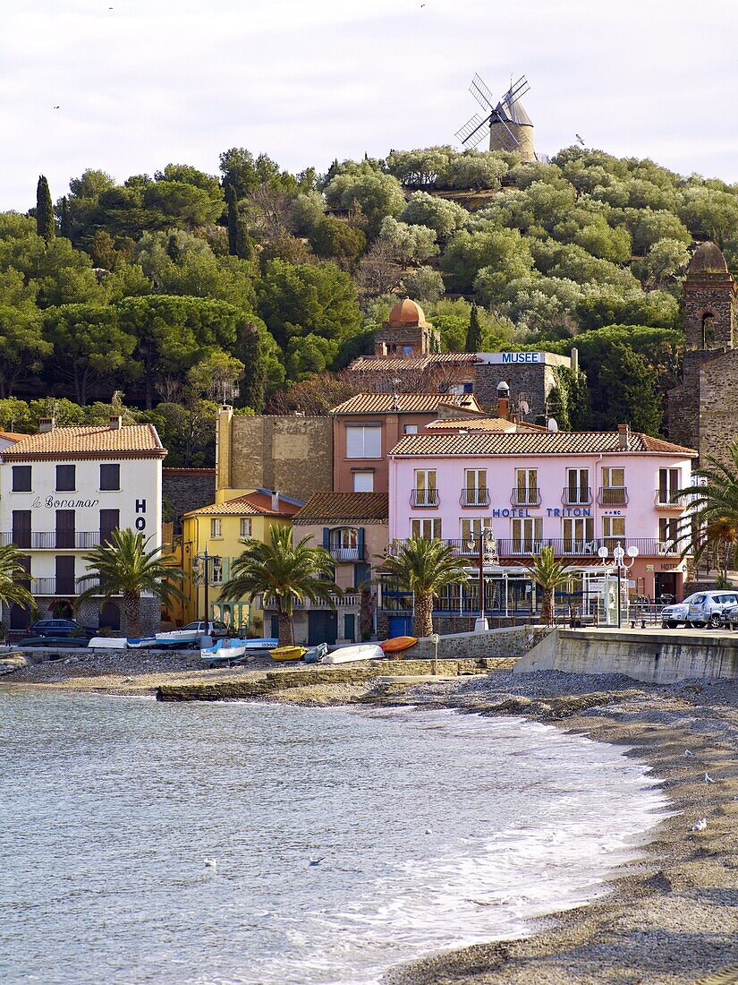Collioure, Cote Vermeille, Languedoc coast, Roussillon, Pyrenees-Orientales, France, Mediterranean, Europe