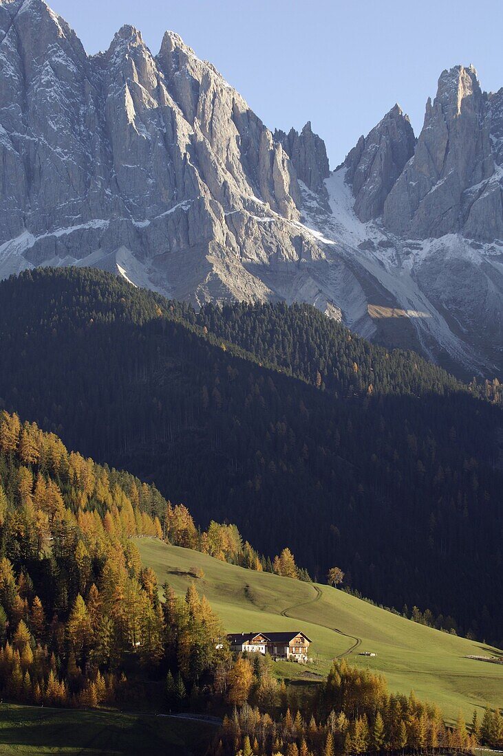 Santa Maddalena, Val di Funes, Dolomites, Bolzano province, Trentino-Alto Adige, Italy, Europe