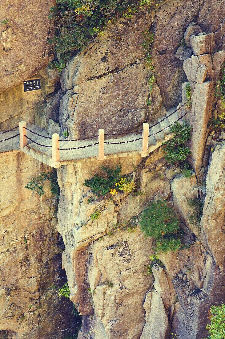 Footpath, White Cloud scenic area, Huang Shan (Yellow Mountain), UNESCO World Heritage Site, Anhui Province, China, Asia