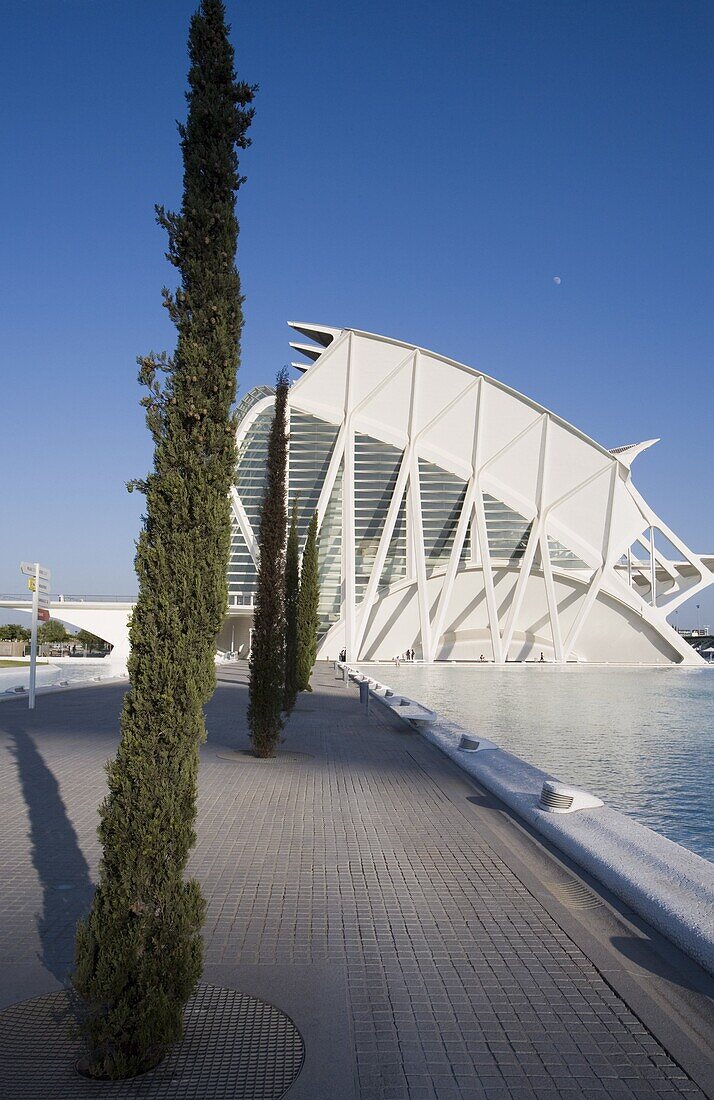 Museu de les Ciencies Principe Felipe,  Science museum, Ciutat de les Arts i de les Ciencies, City of Arts and Sciences, Valencia, Mediterranean, Costa del Azahar, Spain, Europe