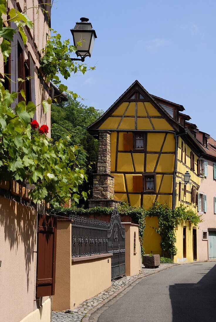 Timbered buildings in street, Turckheim, Haut-Rhin, Alsace, France, Europe