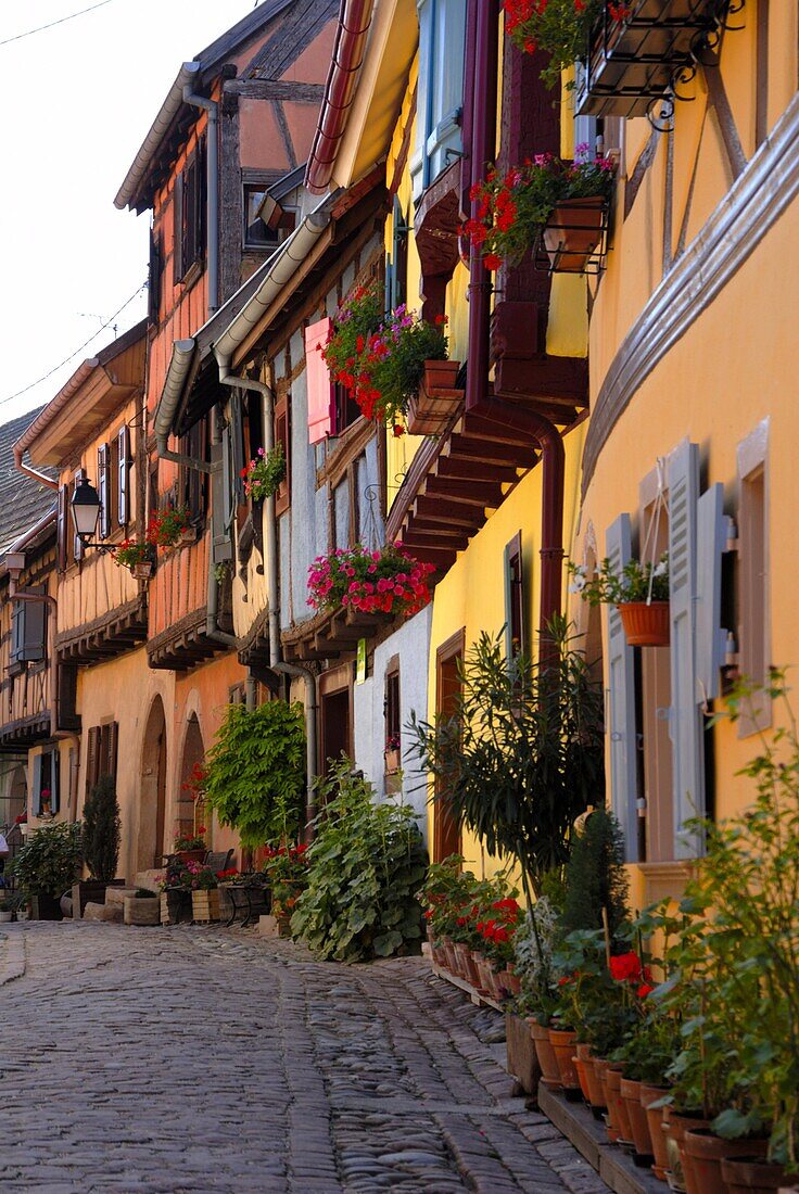 Timbered houses on cobbled street, Eguisheim, Haut Rhin, Alsace, France, Europe