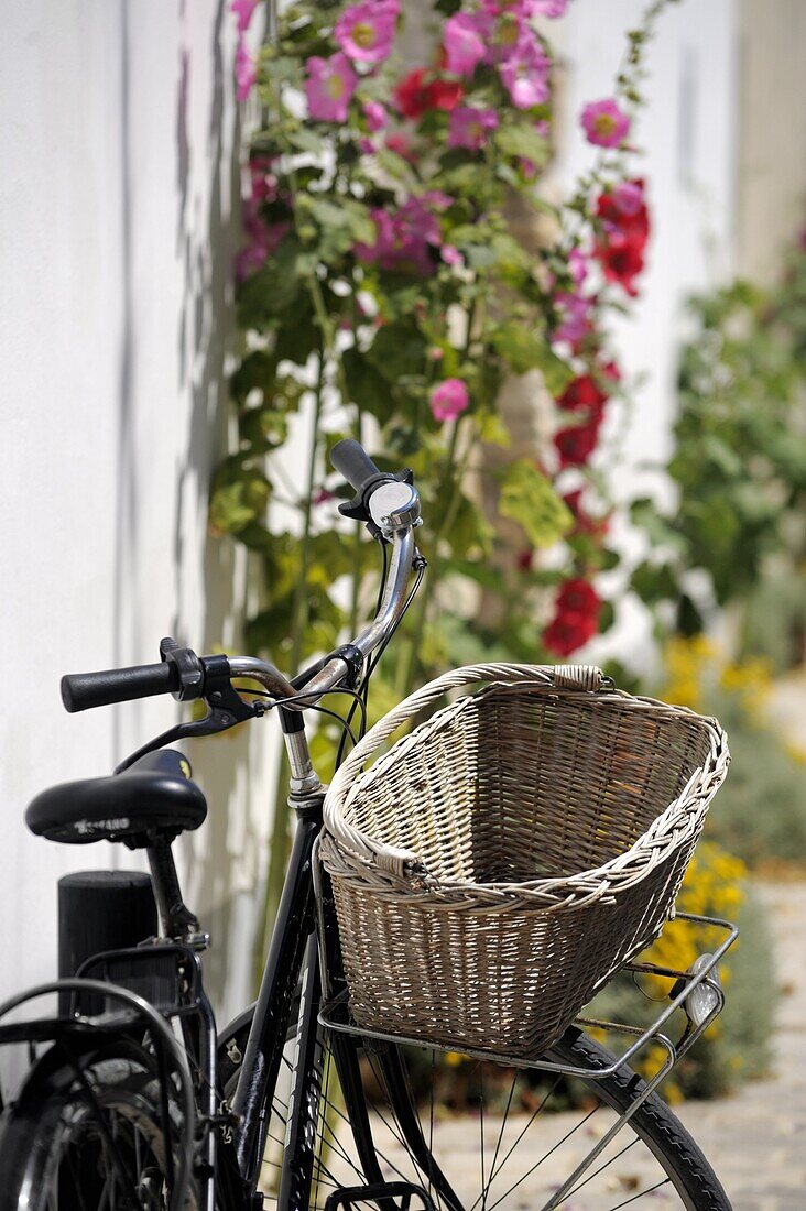Bicycle with basket and hollyhocks, Ars-en-Re, Ile de Re, Charente-Maritime, France, Europe