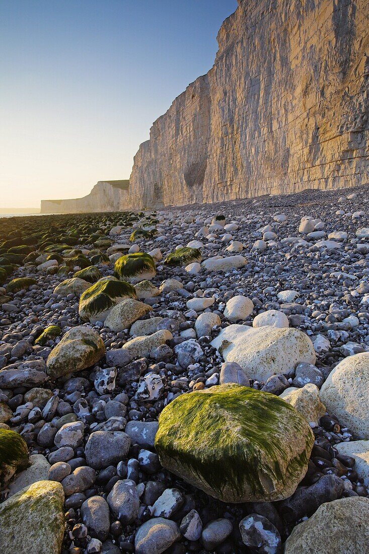 Golden late evening sunlight radiates off the white chalk cliffs at Birling Gap, East Sussex, England, United Kingdom, Europe