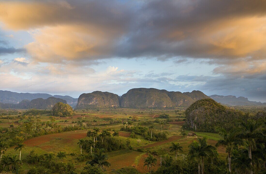 View of Vinales Valley at dawn from grounds of Hotel Los Jasmines showing limestone hills known as Mogotes  characteristic of the region, near Vinales, Pinar Del Rio, Cuba, West Indies, Central America