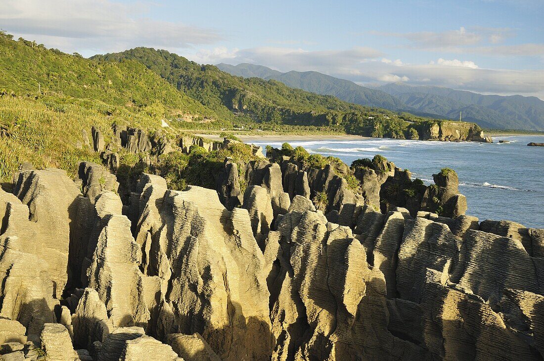 Pancake Rocks, Paparoa National Park, Punakaiki, West Coast, South Island, New Zealand, Pacific
