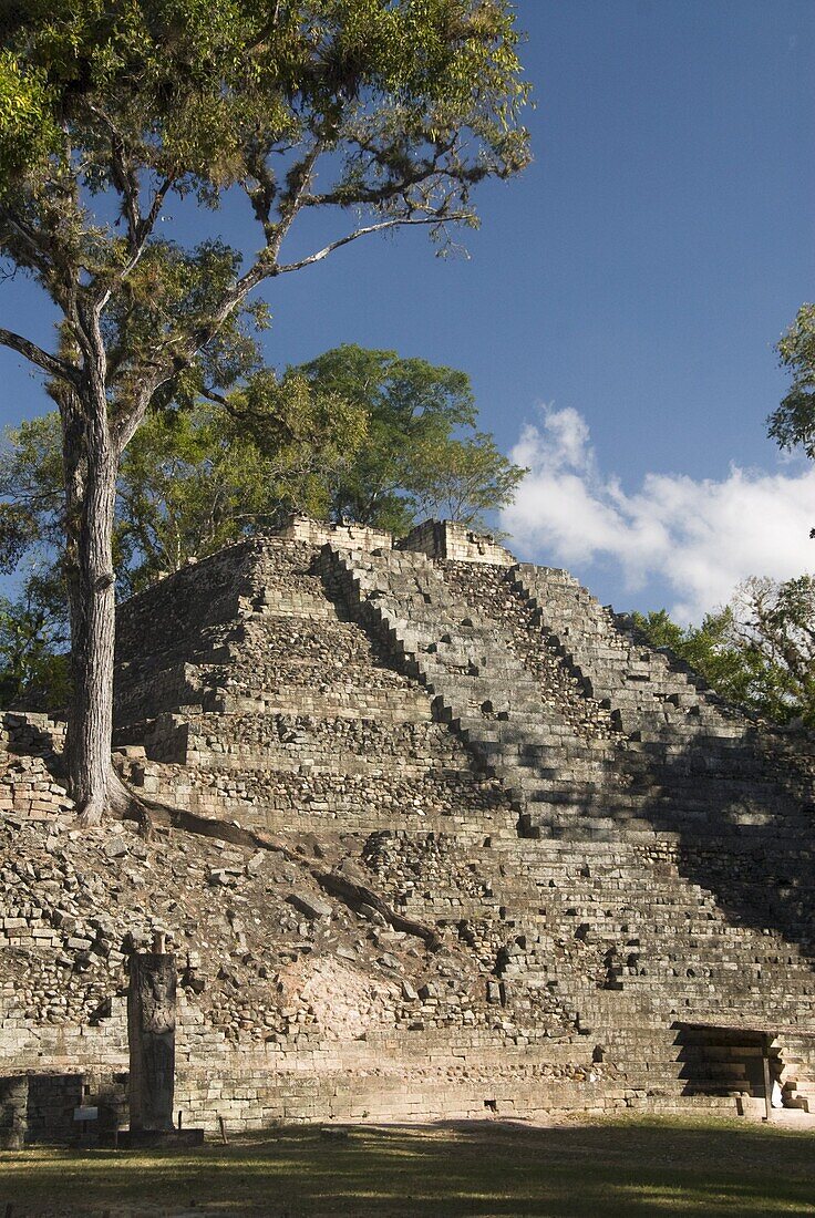 Mound  No.16, West Court, Copan Archaeological Park, UNESCO World Heritage Site, Copan, Honduras, Central America