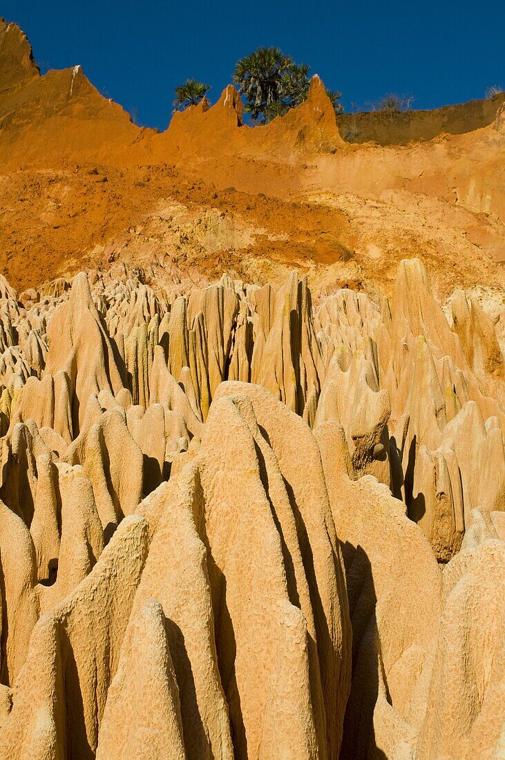 Red Tsingys, strange looking sandstone formations, near Diego Suare (Antsiranana), Madagascar, Africa