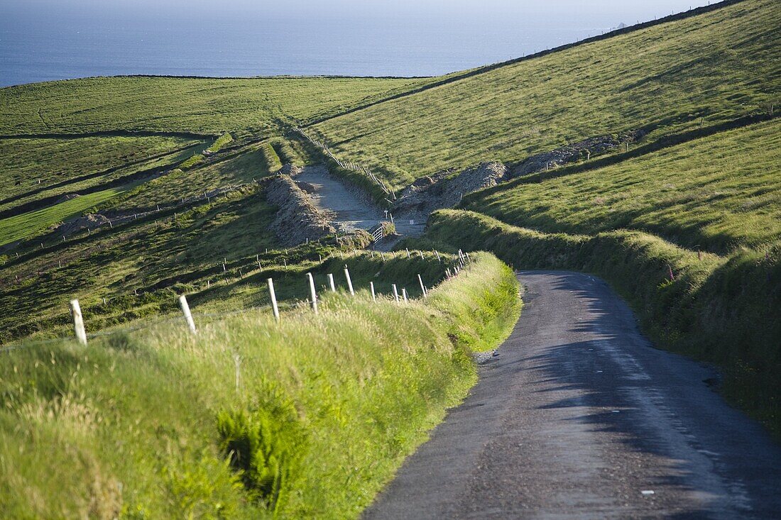 Narrow roads passing through the verdant Irish countryside in County Kerry, Munster, Republic of Ireland, Europe