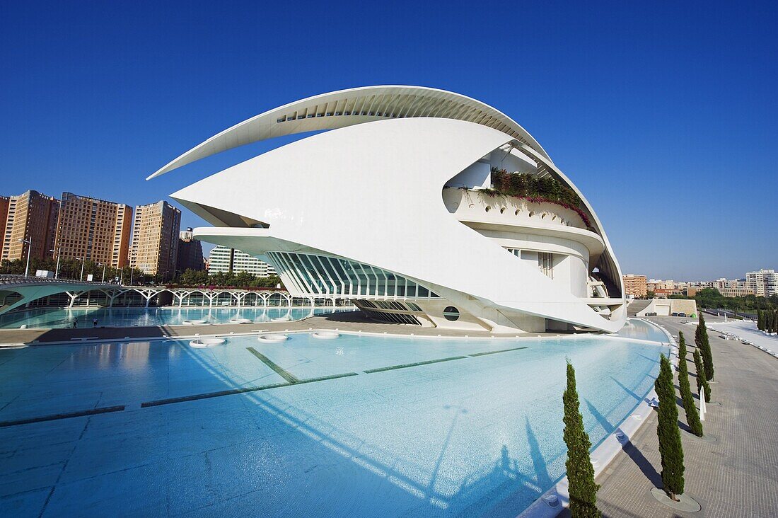 Palau de les Arts Reina Sofia, architect Santiago Calatrava, City of Arts and Sciences, Valencia, Spain, Europe
