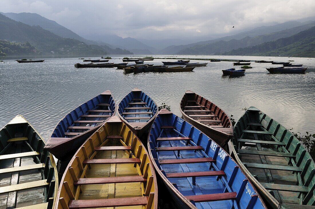 Phewa Tal (Phewa Lake), Pokhara, Gandaki, Western Region (Pashchimanchal), Nepal, Asia