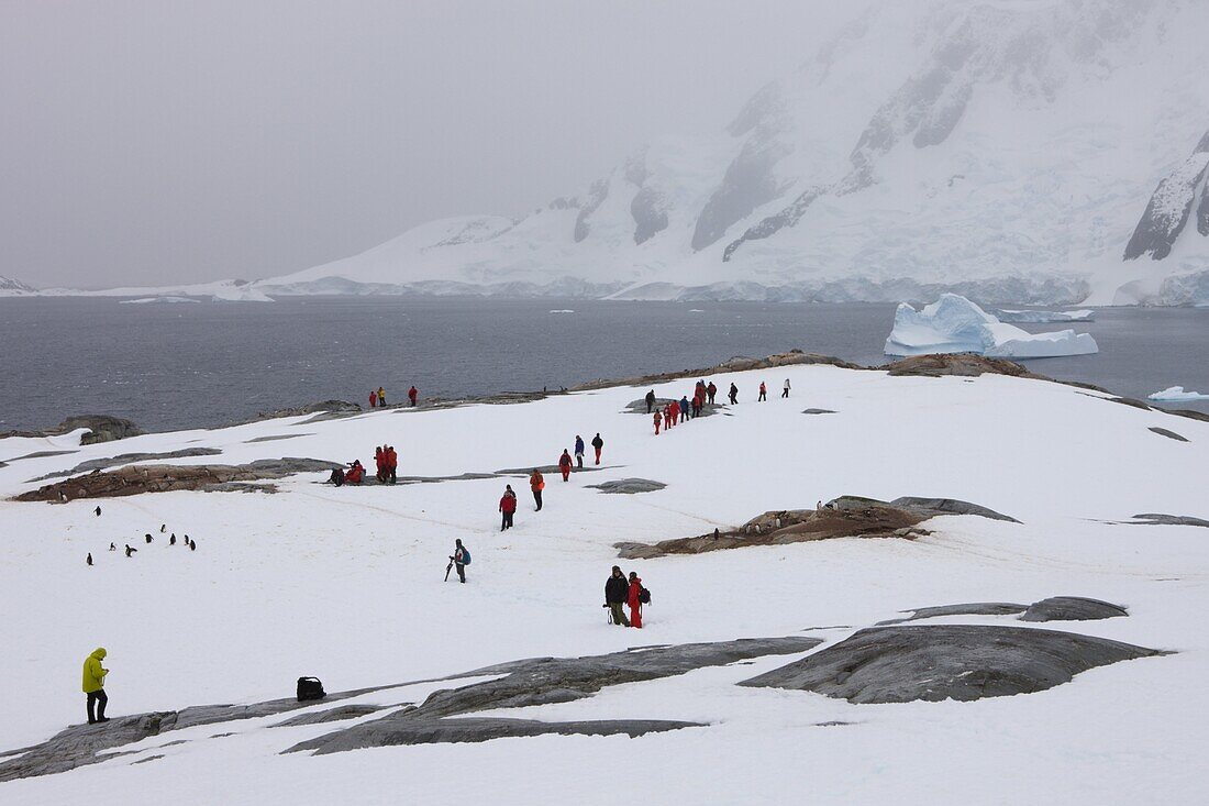 Tourists explore Pleneau Island on the Antarctic Peninsula, Antarctica, Polar Regions
