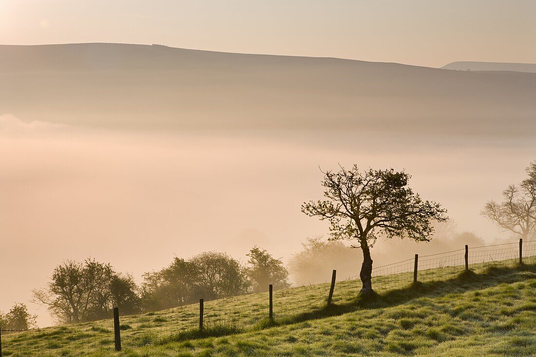 A low blanket of mist is tinged by the colours of sunrise in the valley beneath Cefn Moel, Brecon Beacons National Park, Powys, Wales, United Kingdom, Europe