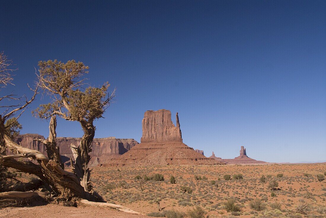 West Mitten Butte, Monument Valley Navajo Tribal Park, Arizona, United States of America, North America