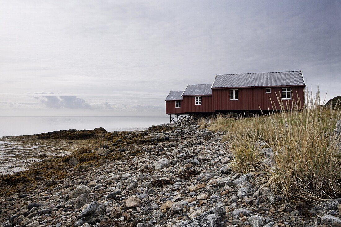 Three fishermen's cabins (rorbuer), Lofoton Islands, Norway, Scandinavia, Europe
