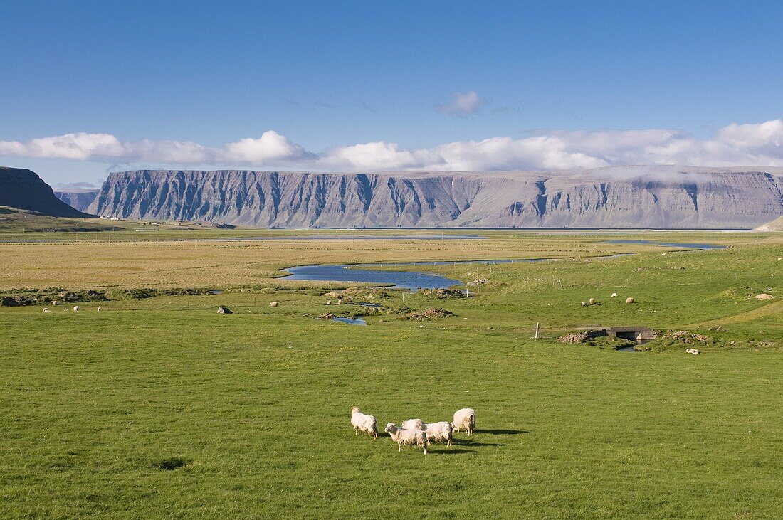 Westfjord scenery, Iceland, Polar Regions