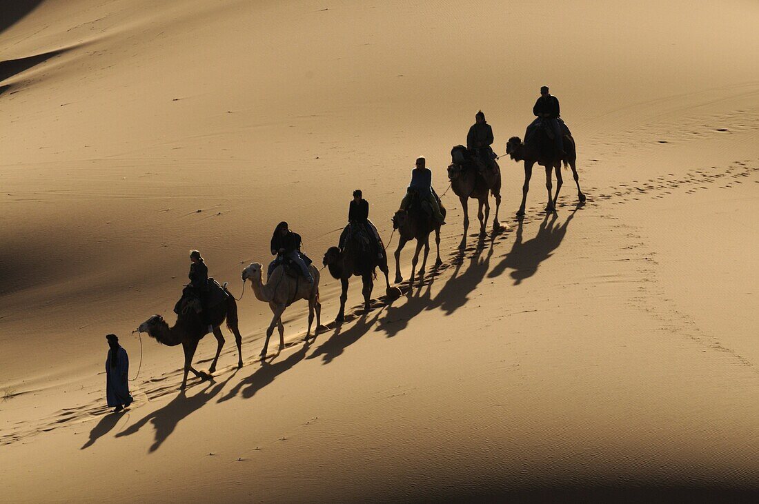 Bedouin caravan riding through the Sahara Desert, near Merzouga, Morocco, North Africa, Africa