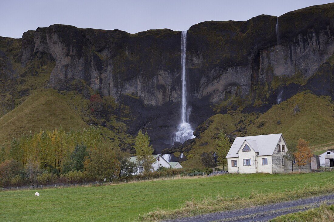 Farm and waterfall (Foss a Sidu), at Dverghamrar, east of Kirkjubaejarklaustur, South Iceland, Iceland, Polar Regions