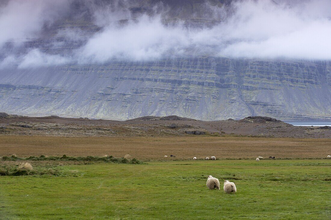 Mount Bulandstindur, 1069m, pyramid shaped stack of basaltic strata, in Berufjordur, East Fjords, Iceland, Polar Regions