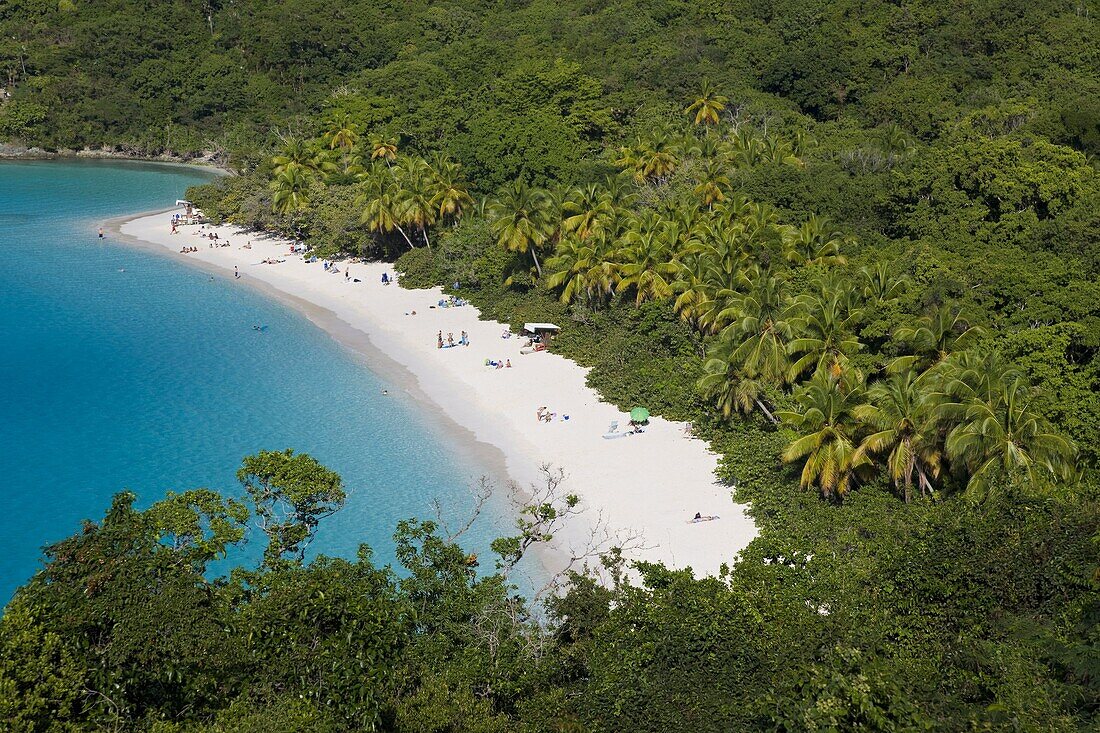 Elevated view over the world famous beach at Trunk Bay,  St. John,  U.S. Virgin Islands,  West Indies,  Caribbean,  Central America