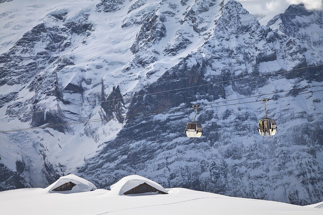 Gondola ski lift passing in front of the Wetterhorn mountain,  Grindelwald,  Jungfrau region,  Bernese Oberland,  Swiss Alps,  Switzerland,  Europe