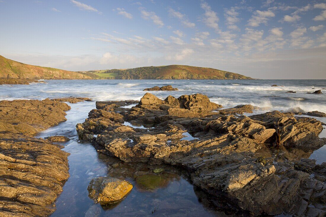 Evening sunlight bathes the rocky shores and cliffs golden at Wembury Bay in South Devon,  England,  United Kingdom,  Europe