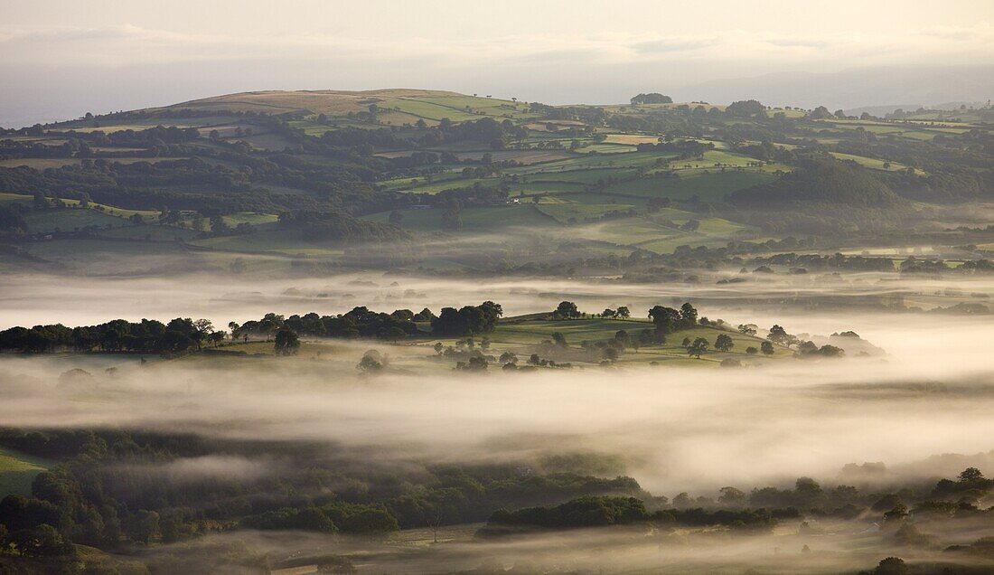 Early morning mist hanging over rolling farmland near Llangadog,  Brecon Beacons National Park,  Carmartenshire,  Wales,  United Kingdom,  Europe