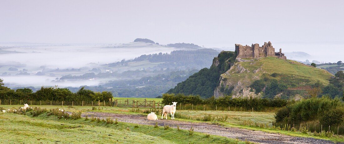Carreg Cennen Castle at dawn on a misty summer morning,  Brecon Beacons National Park,  Carmarthenshire,  Wales,  United Kingdom,  Europe