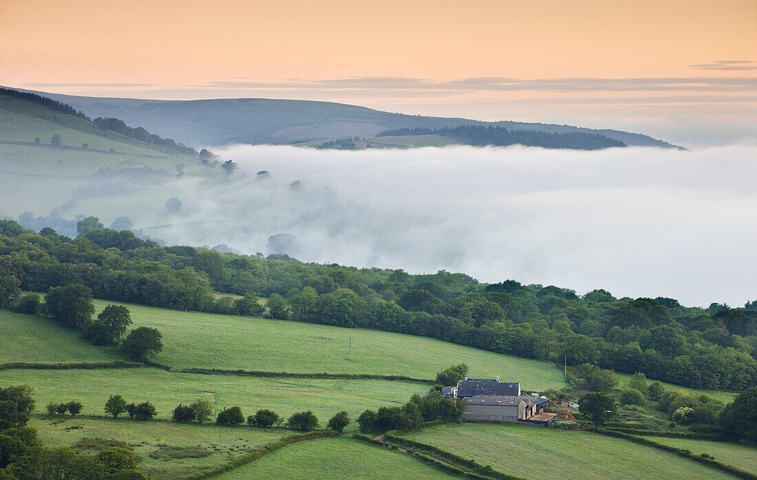 Isolated farm on a valley slope on a misty dawn,  Brecon Beacons National Park,  Powys,  Wales,  United Kingdom,  Europe