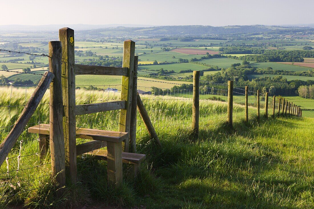 Footpath and style leading over fence through fields,  Raddon Hill,  Devon,  England,  United Kingdom,  Europe
