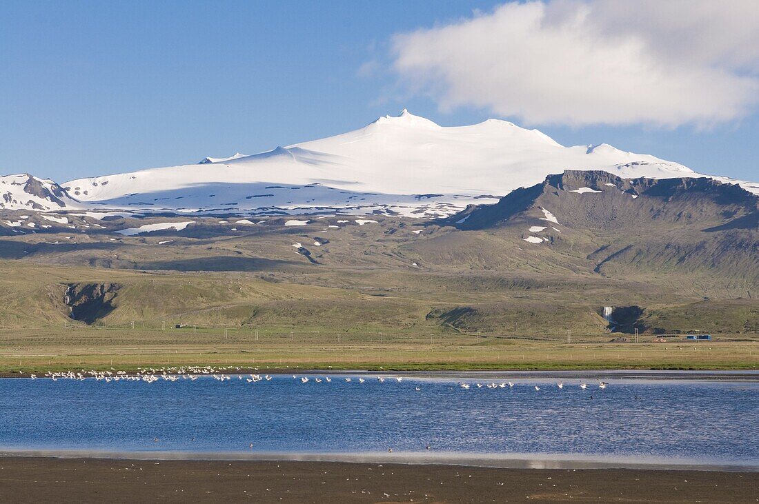 Mountain landscape with body of water and flock of birds,  Snaefellsjokull National Park,  Iceland,  Polar Regions