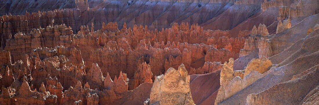 Backlit hoodoos and Thor's Hammer in evening light, Bryce Canyon National Park, Utah, United States of America, North America