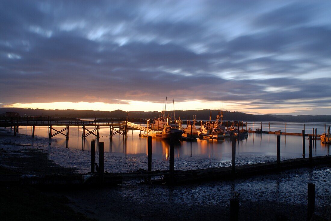 Fishing and crabbing boats at low tide after sunset, in dock at the end of the road in Grayland, Washington State, United States of America, North America